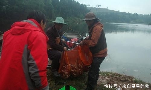  「天气」这里的鱼不仅多, 而且傻, 钓鱼拉得手抽筋