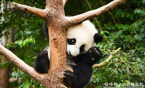 国内从不“宰客”的3座城市:小吃不到10元,网友:难怪那么火