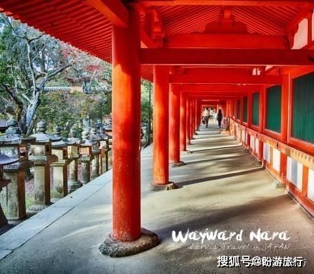  「祈福的灯笼」DAY2日本深度自由行之大阪都门奈良城崎旅行日记
