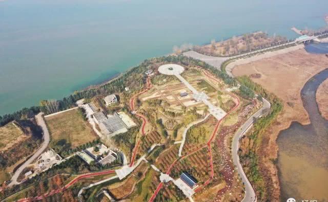 河南最大的黄河湿地自然保护区,冬日美景如画