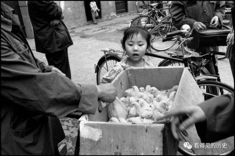 老照片：1984年成都农贸市场