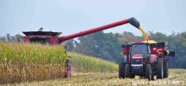 农村户口取消后，农民的5个结局，第二种人最苦，几乎每家都有！