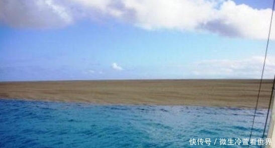 深海中发现怪异沙滩,船靠近看清后,水手疯狂逃离!