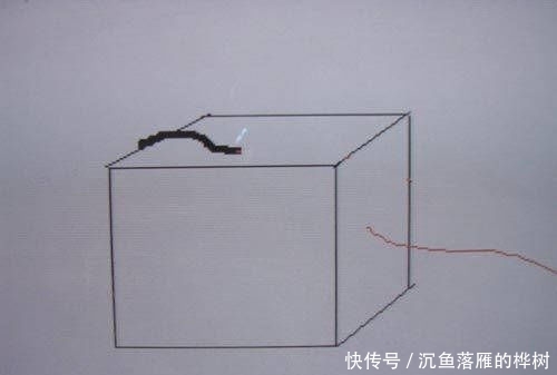 『方法』本地使用红薯为饵的方法,分享给各位钓鱼人