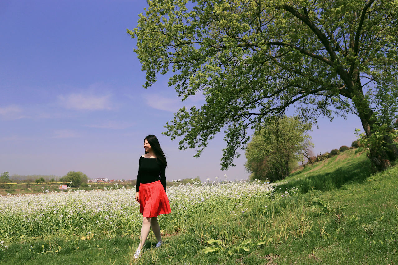 武汉周边游3??丨黄陂赏花和登山徒步，推荐这四个景区必须打卡