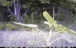  最为常见■10张炫酷动图, 让你秒懂高中生物重要原理，理解更深刻