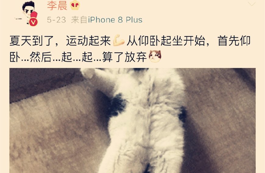 范冰冰彻底凉透？缺席手机2拍摄，范丞丞节目也紧急换人