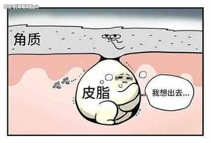 毛孔里的小颗粒怎么都挤不完，只要碰上这3物,搓一搓很快就消失