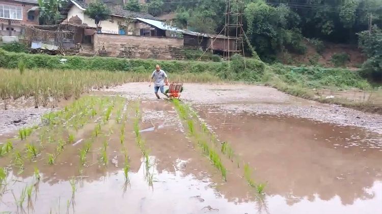  民间|民间牛人发明“手摇式”插秧机，不用油不用电，200元造一