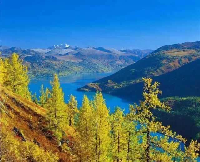 新疆这10个地方在这金色的秋天，等你来欣赏