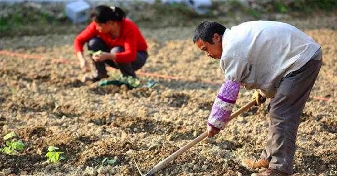 现在农民有50万存款的人多吗？知道以后自愧不如