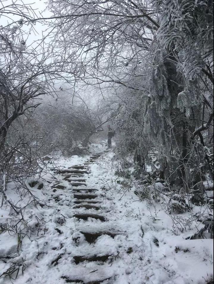 这次，你有错过绿春湖的雪景吗？那种美，简直难以名状……