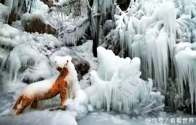 北京古燕平八景“虎峪辉金”开放新景观！冰瀑奇观美轮美奂！