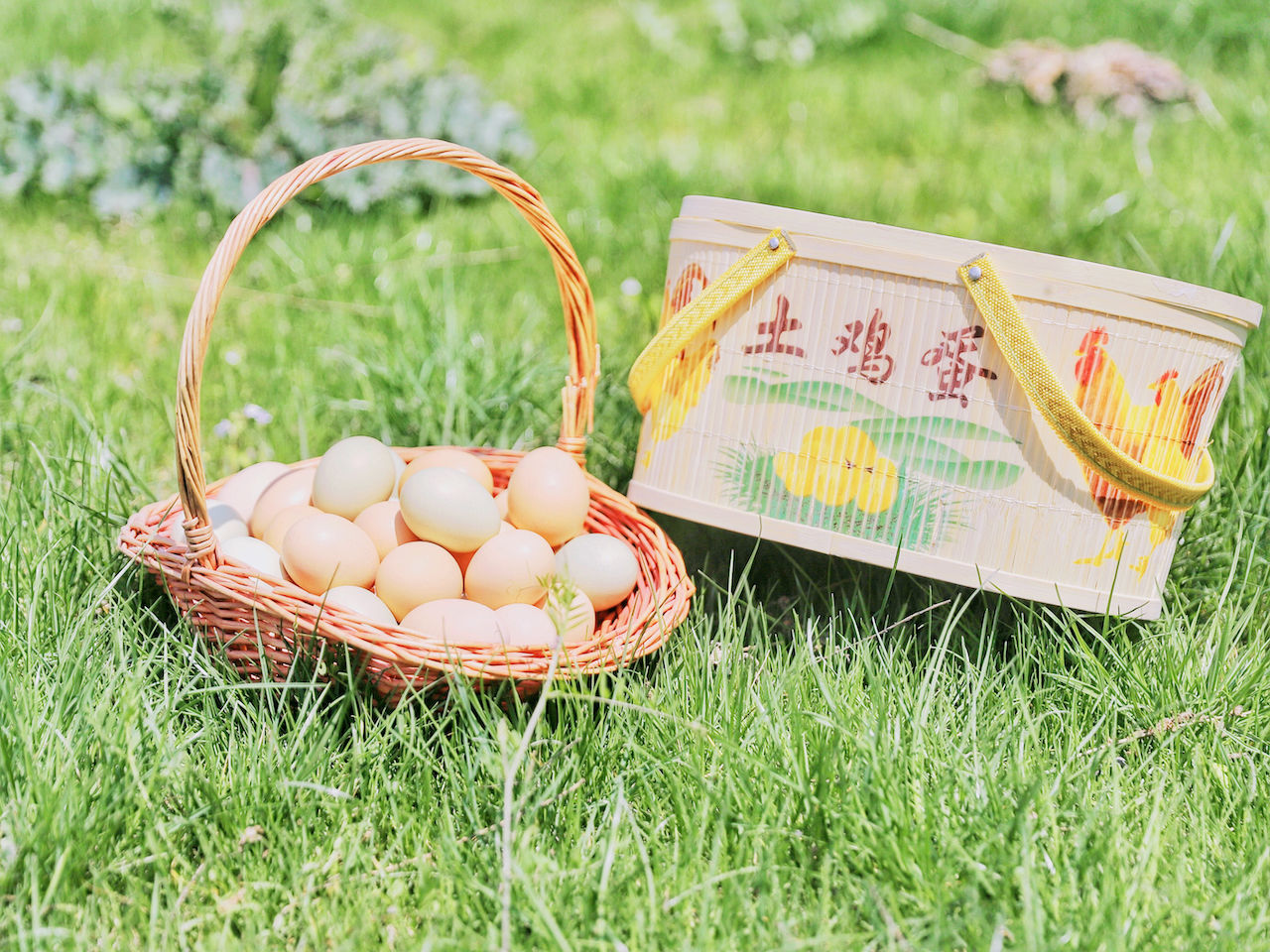 武汉周边游3??丨黄陂赏花和登山徒步，推荐这四个景区必须打卡