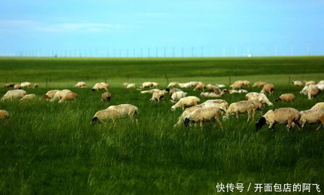 国内最大的城市竟然不是上海？这个城市比山东省加江苏省还大！