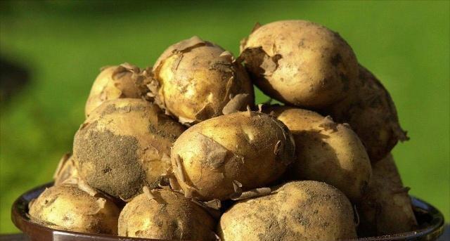 世界上第一个把沙漠变“绿洲”的国家, 不是日本, 也不是以色列