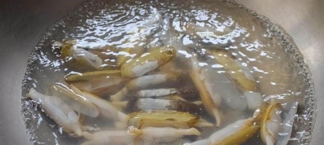 把蛏子■春天,这菜要常吃,蒸一蒸味道特鲜美,营养大脑,全家人受益