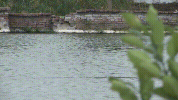  产值@啥养殖新模式？能每亩纯利润近万元，光卖鱼产值就有26万！