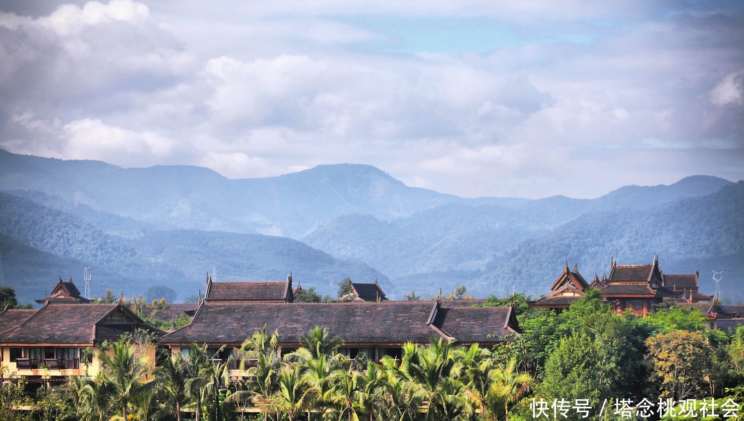 中国“最神奇”植物王国！树木还会开屏？有棵小草能跳舞！