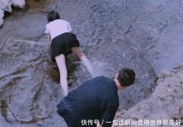 感觉郑爽也不爱张恒