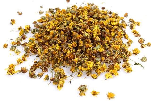 菊花还有苹果仙子这个品种？作用不少，开花好看养护简单！