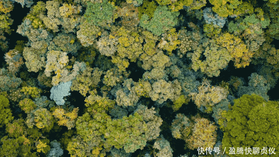 这部纪录片央视发力了,每一帧都可以当壁纸,BBC也无法超越