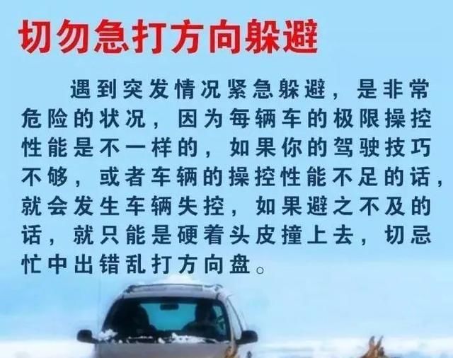 事故■高速事故预警丨为躲小动物，小轿车栽入沟中！如果是你，你躲吗？