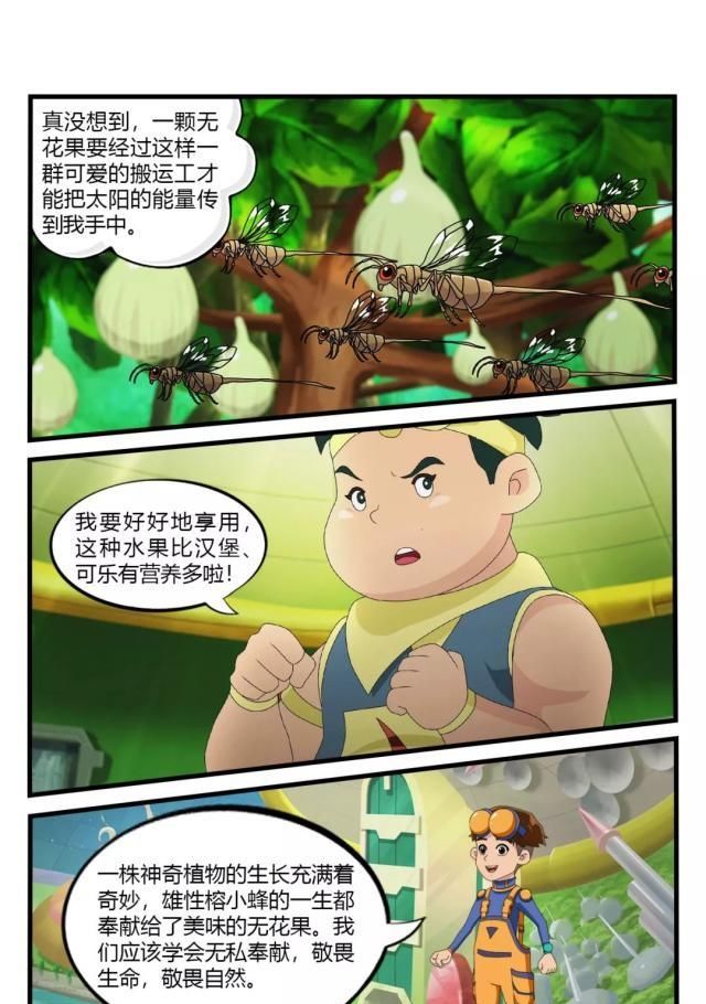  真的：果实内的旅行：无花果真的没有花吗？
