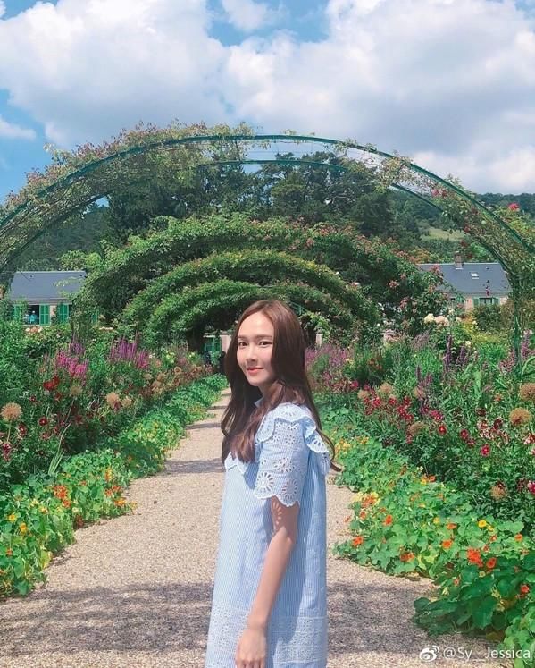 杨幂之后郑秀妍的发际线也掉线了？行走的发型教科书就这么凉凉了