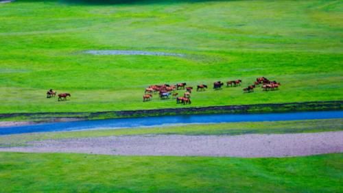 中国很特殊的城市，面积相当于山东和江苏两省总和，旅游资源很丰