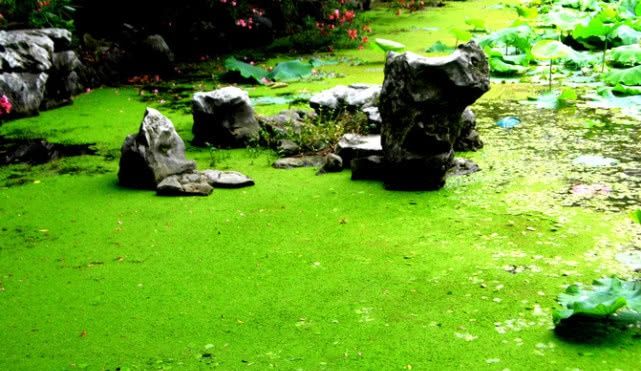 广东有一个州被国家选中了，投入巨资130亿，建设抽水蓄能电站