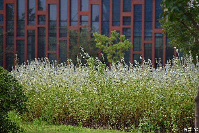 奥迪A6L，宝马X3，奔驰GLB，凯迪拉克CT5，不一样的新感受之九