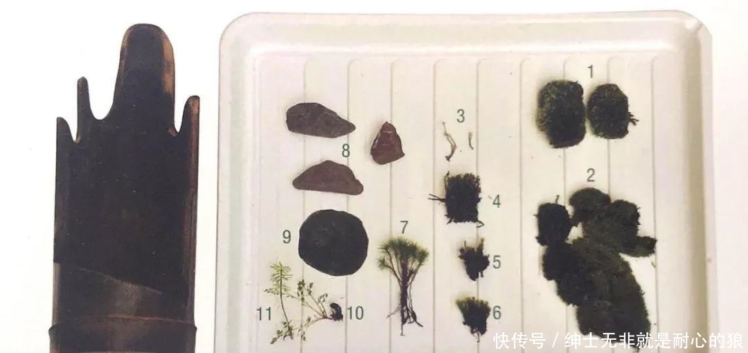  『苔藓』一竹一苔一盆景, “拥入怀中, 成就彼此”制法与图解