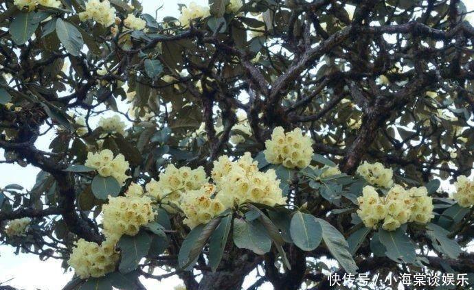 盘龙河的源头在哪儿？是中国还是越南？