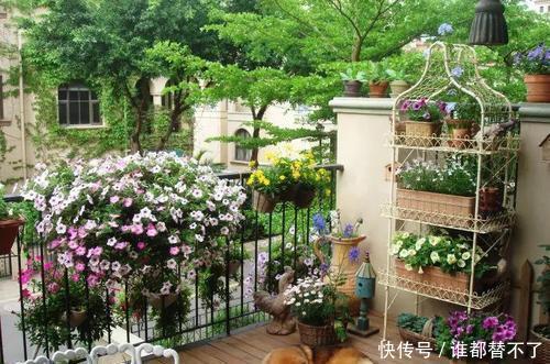 高度@阳台别瞎养花,这样巧搭配,美出新高度,美色不浪费