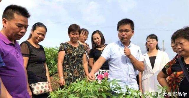 「这一种」9月起，村干部有一个任务要领取，严查农村这一种行为