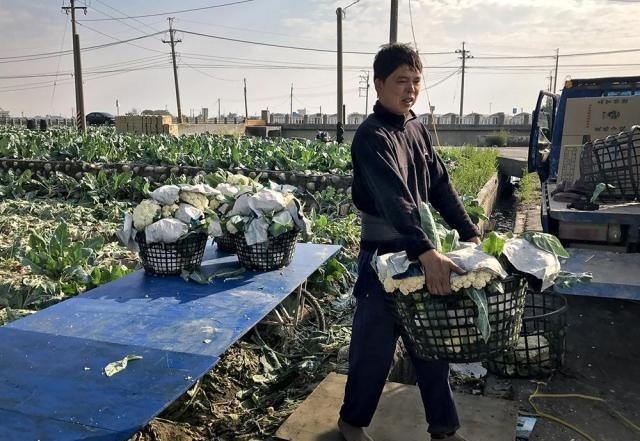  [感觉]曾靠从印度进口才够吃，如今产量年年增加，农民却说感觉
