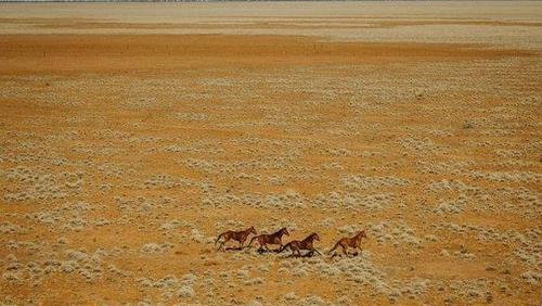 女子自驾游两个月没花一分钱，靠拍照片换食宿