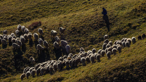 你根本想不到，在昆明周边，居然藏着一个像西藏的美丽地方