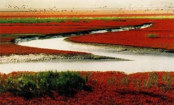 美卫星监控黄河20年，发现惊世一幕，联合国都被震动（揭秘：黄河