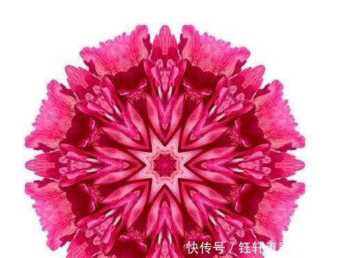 金刚经解释和尚诵金刚经