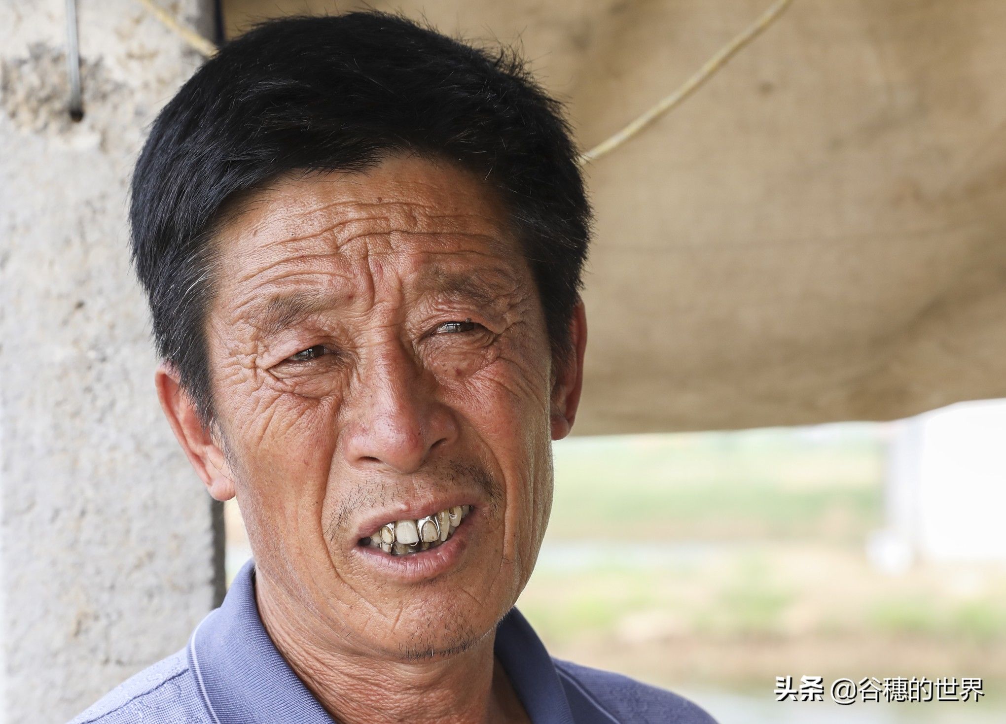 黄河岸边曾经的农村盐碱地，现在12000个虾池，农民们的梦想