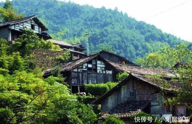 中国最奇葩的村庄,村民靠碗发家致富,房屋都是用碗修建