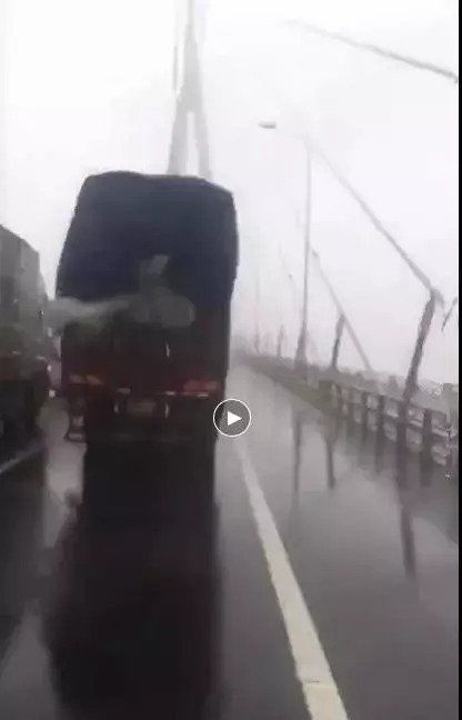 【盘点】台风刮断大桥斜拉索?会解剖就能上北大……本周谣言TOP 1