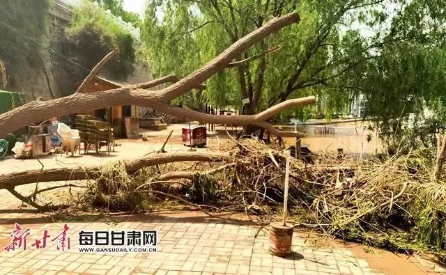 黄河水终于退了，岸边成了这样……