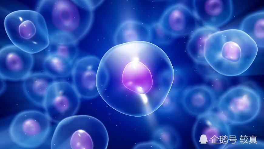 较真:中国富豪花60万注射干细胞想返老还童,这