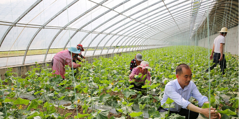  「农机农具」未来农村这3个行业将崛起，农民不妨可试试，一年四