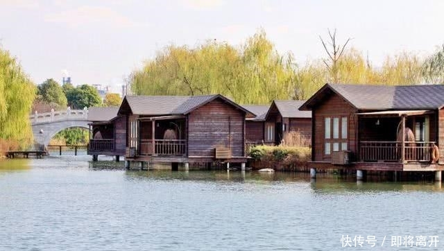 国内最干净城市,乱扔垃圾就罚钱100,干净程度堪比日本