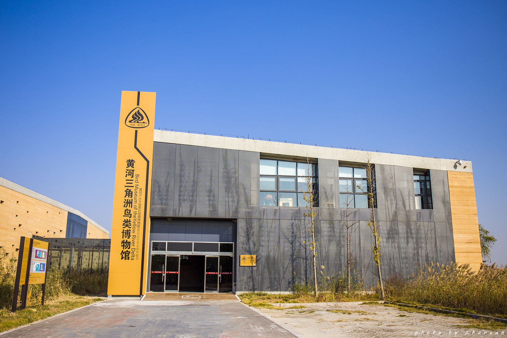 东营丨走过沧海桑田，终是在芦花飞雪的秋日遇见你