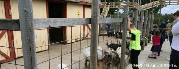 有人做到了无成本养殖，这个农场主年赚几百万